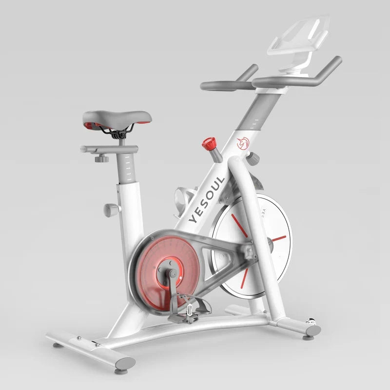 Yesoul S3 Indoor Exercise Bike Smart Black Cycling Bike Magnetic Stationary Bike Low Noise Indoor Cycling Bike for Home