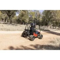 Coleman Powersports GK100 One-Seater Go Karts - view 5