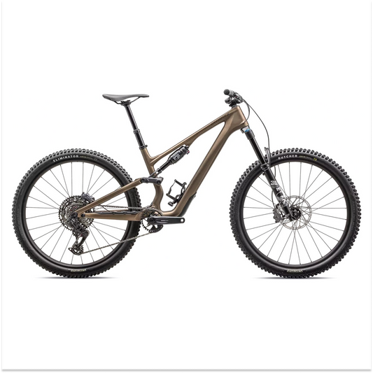 Specialized Stumpjumper 15 - Electric Bike